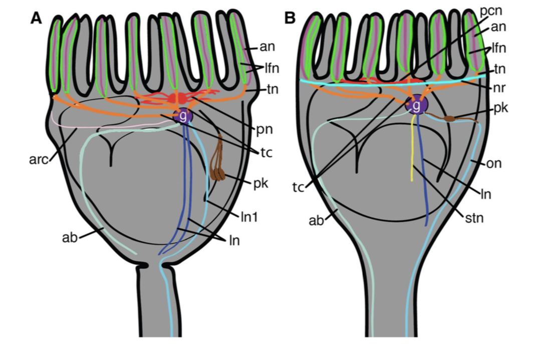 figure image